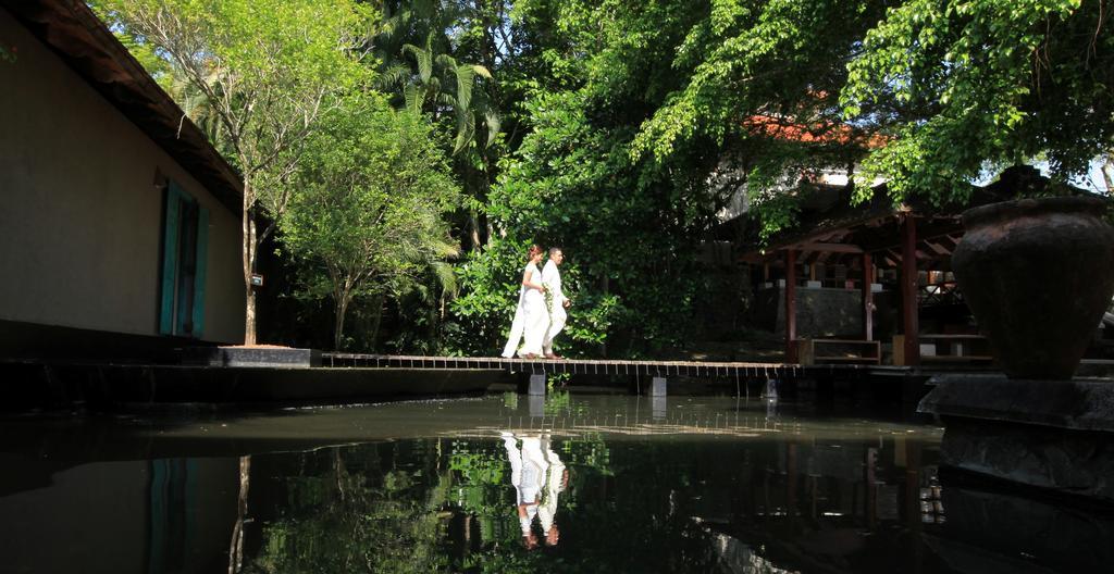 Jetwing Saman Villas, A Luxury Reserve - Adults Only Bentota Buitenkant foto